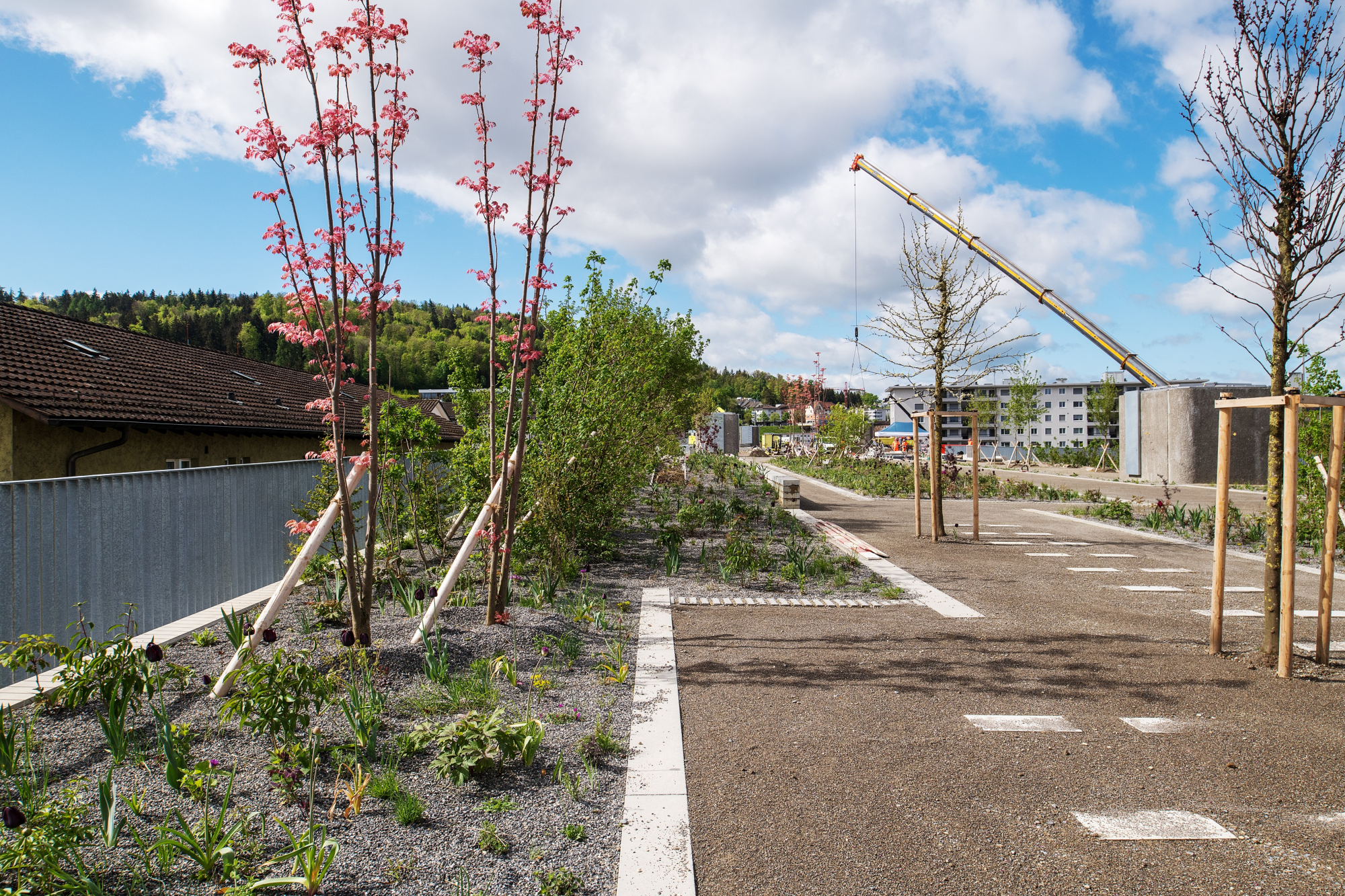 Bild zum Event: Rundgang «Unterwegs zum Thema Stadtnatur»